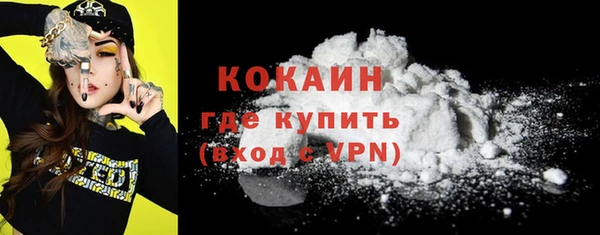 молекула духа Медвежьегорск