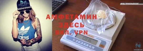 mdpv Вяземский