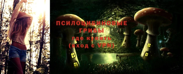 молекула духа Медвежьегорск
