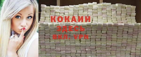 крисы Гатчина