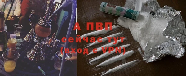 молекула духа Медвежьегорск