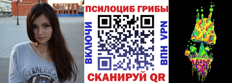 где купить наркоту  hydra рабочий сайт  Галлюциногенные грибы MAGIC MUSHROOMS  Зверево 
